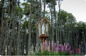 Galeria de fotos Stefano Cartabia